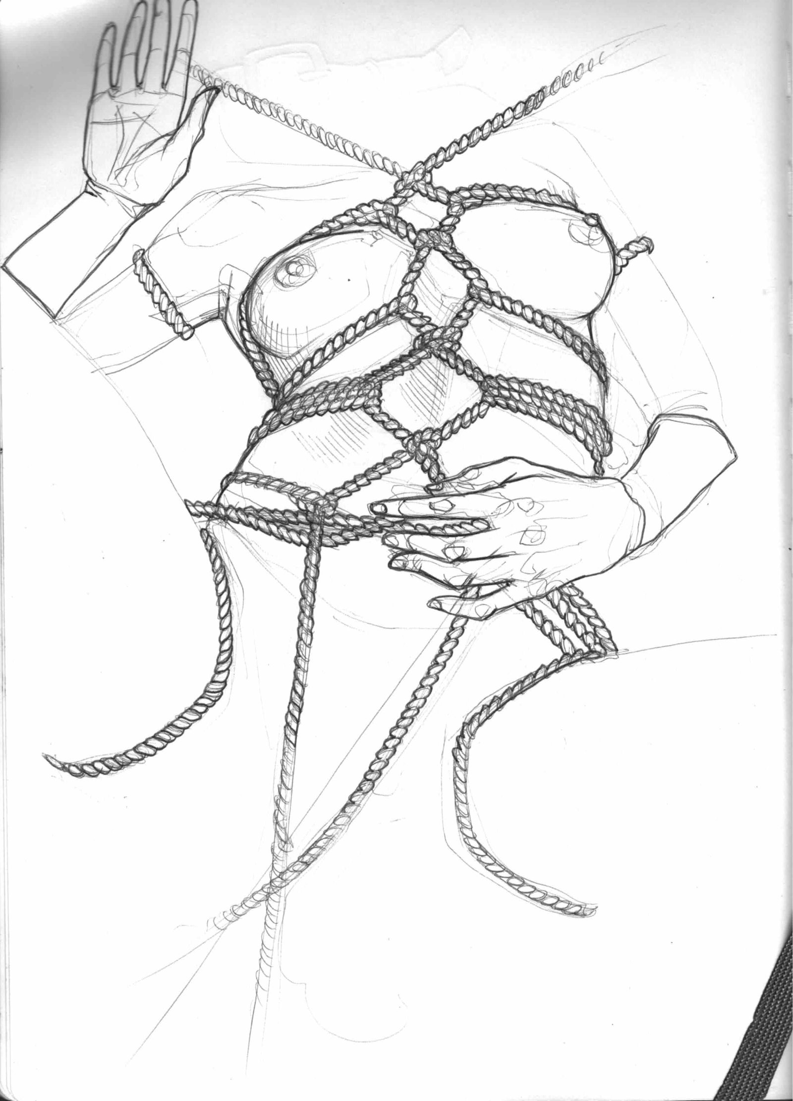 Sketches